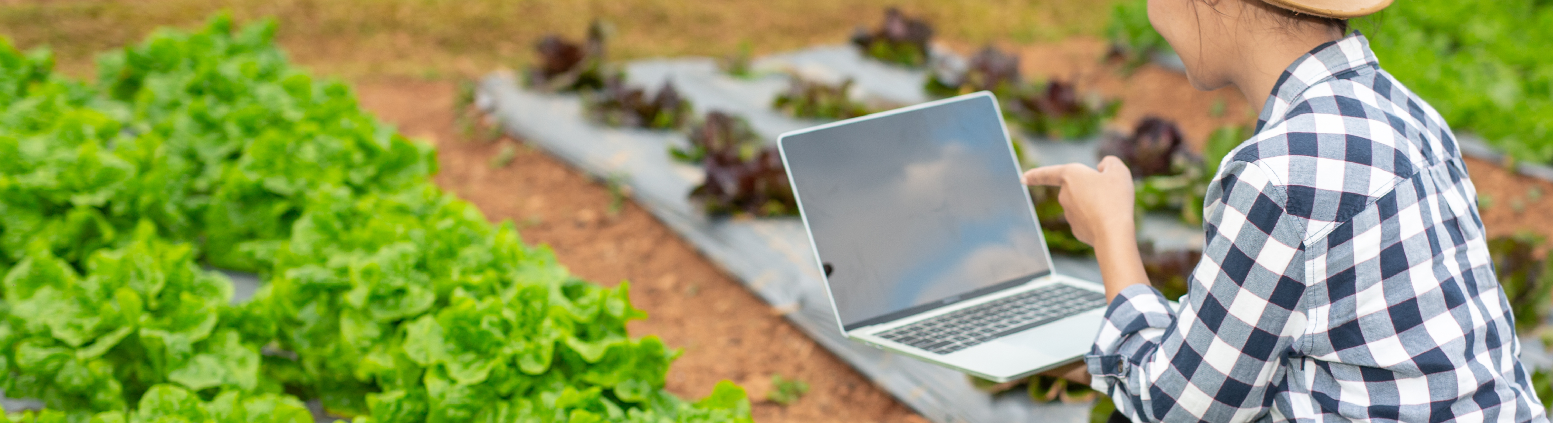 ไฮไลท์ส่วนกลาง-1